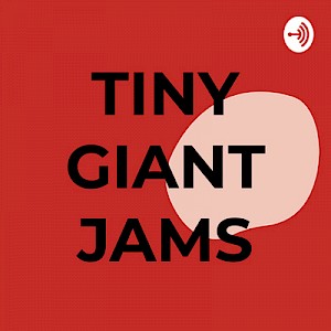 Appearance on TinyGiantJams podcast